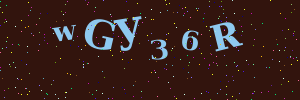 Validation image