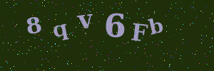 Validation image